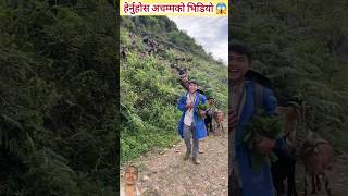 एकदमै राम्रो कामको सुरुवात 🇳🇵 villagelife amazingfacts agriculture shortvideo motivation [upl. by Anniram]