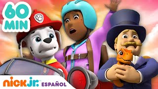 PAW Patrol  1 hora de rescates de la Patrulla Canina a los alcaldes  Nick Jr en Español [upl. by Lekym]