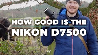 Is the Nikon D7500 a Good Camera [upl. by Dobson733]