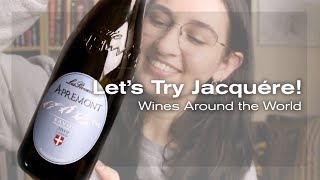 Lets Try Jacquére Wines Around the World [upl. by Adlay]