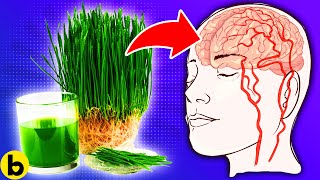 17 Wheatgrass Health Benefits That You SHOULDNT IGNORE [upl. by Agata]