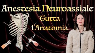 Anestesia Neuroassiale Tutta lAnatomia [upl. by Brieta]