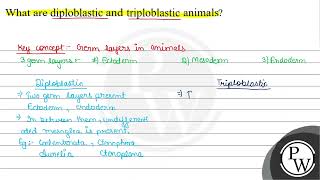 What are diploblastic and triploblastic animals [upl. by Melesa]