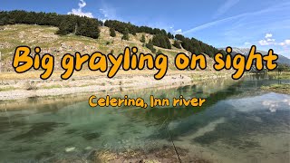 Big grayling on sight  Fly fishing [upl. by Gnohc]