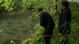 Pêche de la truites aux leurres dans lAin sur lAlbarine [upl. by Ahsekad]