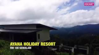 7 homestay menarik dengan bajet dibawah RM 100 semalam di Kundasang Sabah  via the vocket [upl. by Ainosal64]