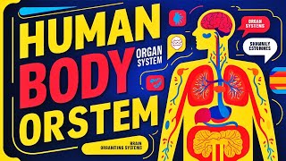 Human body organ system [upl. by Fridlund]