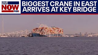 Baltimore bridge collapse Largest crane on eastern seaboard used to move ship  LiveNOW from FOX [upl. by Kavanaugh]