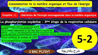 La phosphorylation oxydative 3ème étape de la respiration cellulaire partie 52 شرح بالداريجة [upl. by Nivri]