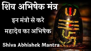 शिव अभिषेक मंत्र।इन मंत्रो से करें भगवान शिव का अभिषेक। Shiva Abhishek mantra। Rudrabhishek Mantra [upl. by Skill518]