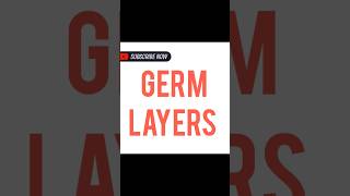 GERM LAYERS [upl. by Alleynad]