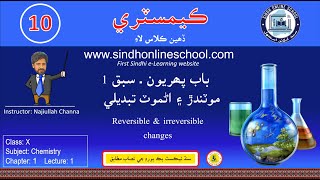 Reversible and irreversible changes Chemistry Class 10  Chapter 1  Lecture 1 Sindh Online School [upl. by Akiehs]