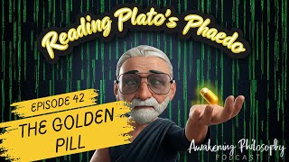 Phaedo and Socrates Philosophy Episode 42  The Golden Pill [upl. by Edny]