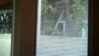 How to Install Internal Blinds over existing door windows [upl. by Shulins999]