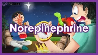 Norepinephrine Mnemonic for NCLEX  Nursing Pharmacology [upl. by Yellas]