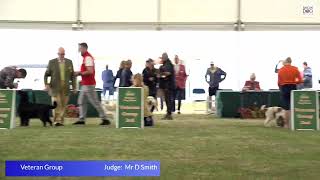 Windsor Championship Dog Show 2023 Day 3 Gundog Groups [upl. by Vallery]