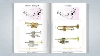 Trumpet family [upl. by Tracy]