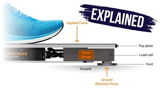 How do force plates work Biomechanics Explained [upl. by Ecnav]