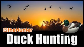 Duck Hunting Tutorial  theHunter Classic [upl. by Uot]