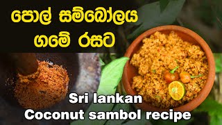 පොල් සම්බෝලය ගමේ රසට l sri lankan pol sambol recipe Cuisine of srilanka [upl. by Leal105]