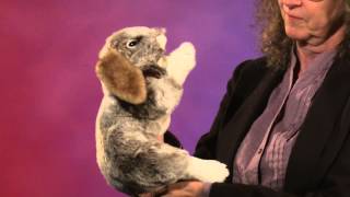 Folkmanis® Holland Lop Rabbit Puppet Demo [upl. by Sukramed4]