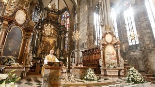 Christmette aus dem Wiener Stephansdom mit Dompfarrer Toni Faber [upl. by Kristina]