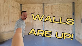 Lining a Shed with Plywood  Workshop Build Series  Part 7 [upl. by Enelkcaj]