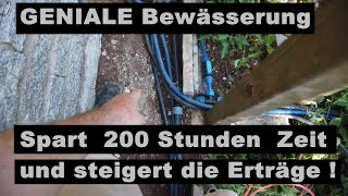 Ausgeklügeltes Bewässerungssystem selbst gebaut  Beete bewässern [upl. by Bronny431]