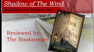 The Shadow Of The Wind Book Review  6 Minutes or Less [upl. by Inttirb]