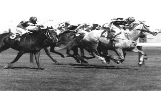 1970 VRC FLEMINGTON MELBOURNE CUP [upl. by Irtimed]