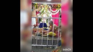 Vaikuntha ekadasi uttara dwara darshanam [upl. by Llekcor]