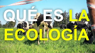 ¿QUÉ ES LA ECOLOGÍA y por qué es tan importante [upl. by Eladnwahs]