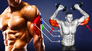 Master Your Triceps Home Dumbbells Workout Challenge [upl. by Aneel]