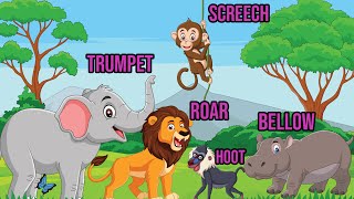 Learn Animal Sounds With Us [upl. by Atsirhcal]