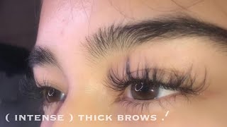 ᐟ  intense  thick brows ᐟ [upl. by Repsihw120]