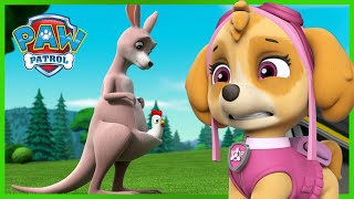 Pups Save a Missing Kangaroo  PAW Patrol Episode  Cartoons for Kids [upl. by Centonze]