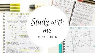 Study With Me 1  studytee [upl. by Konstanze]