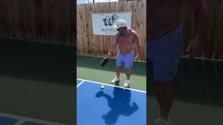 The Pickleball Partner Who Does Not Contribute [upl. by Morty]