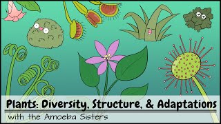 Plants Diversity Structure amp Adaptations [upl. by Ereveniug]