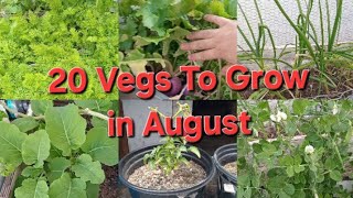 20 Vegetables to Start In AugustSouth Africa Cape Town Garden [upl. by Earleen]