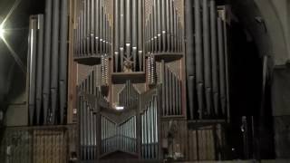 Chorale Prelude on Tochter Zion freue dich for organ by HansAndré Stamm [upl. by Zelikow535]