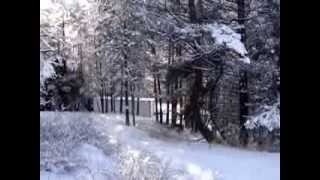 REEFER CONTAINER CABIN HOME IN THE OKANOGAN HIGHLANDS IN JANUARY  4 OF 4 WALK 2 [upl. by Brodeur459]