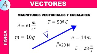 MAGNITUDES ESCALARES Y VECTORIALES [upl. by Ahsilrae]