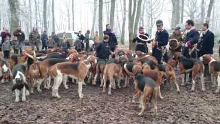 Curée venerie Cheverny Trompes de chasse [upl. by Haral]