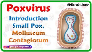 Poxvirus Microbiology USMLE  Small pox Molluscum contagiosum [upl. by Strade667]