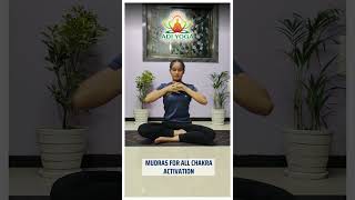 MUDRAS FOR ALL CHAKRA ACTIVATION [upl. by Peggir]