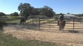 Parelli Natural Horse Training Tip  Riding in Groups [upl. by Naleek]