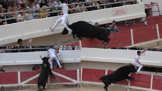 SAINTESMARIES DE LA MERFinale des TausCourse Camarguaise25102023 [upl. by Papotto482]