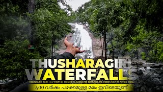 തുഷാരഗിരി വെള്ളച്ചാട്ടം  thusharagiri waterfalls  kozhikode thusharagiri [upl. by Irrab]