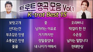 트로트 명곡모음 Vol1 KTROT BEST 15★ 진성홍진영김용임신유장윤정조항조송가인주현미오승근금잔디강진김연자장민호윤수현💖 [upl. by Anderer]